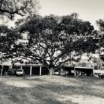 Maidenwell Music Mix